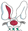 Bunny_No_Number